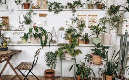 do-srodka-biophilic_design-700x433